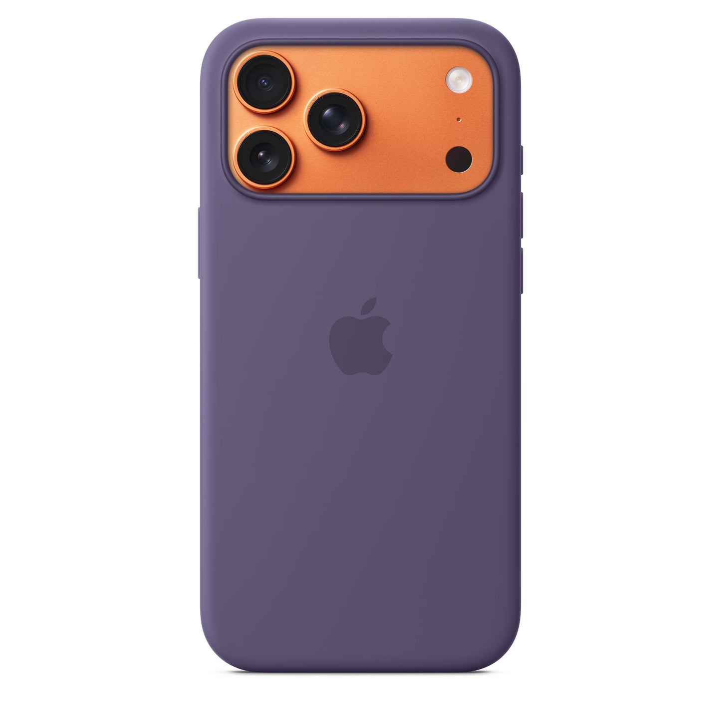 iPhone 17 Series Apple Silicone Case